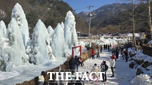 경기 포천시가 주최한 제20회 포천 백운계곡 동장군 축제를 찾은 방문객들이 축제 상징인 얼음 트리를 보며 즐거운 한 때를 보내고 있다. /포천