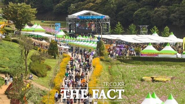 2024 화순 고인돌 가을꽃 축제 모습./화순군