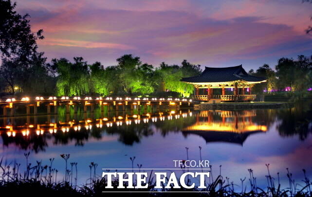 부여군 궁남지 야경. /부여군