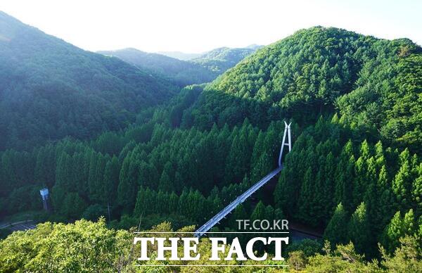 장태산 자연휴양림 전경./대전시