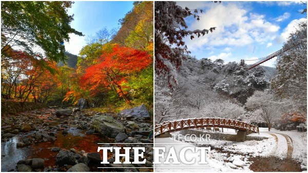 순창 강천산의 가을과 겨울. /순창군