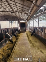 경기도, 낙농·육우산업 경쟁력 강화 위해 올해 220억 원 지원
