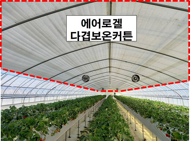 농촌진흥청은 겨울철 한파에 대응해 온실 난방비와 탄소 배출량을 줄일 수 있는 에어로겔 다겹보온커튼을 농가에 시범 보급해 실용화에 나선다고 22일 밝혔다./농촌진흥청