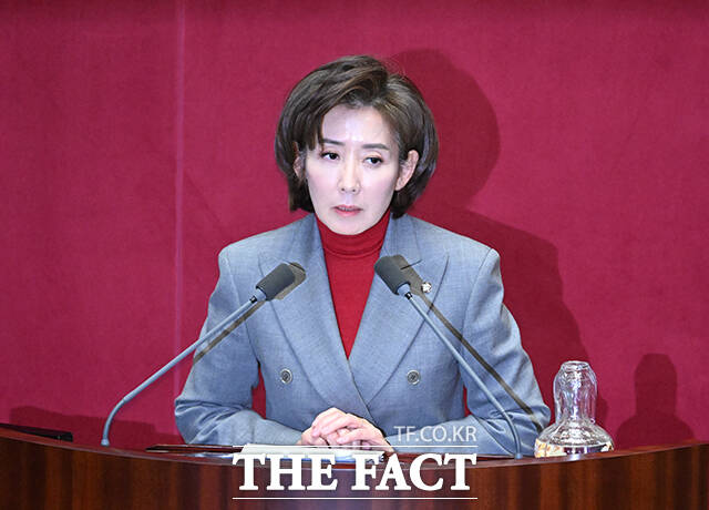 나경원 국민의힘 의원이 22일 사회관계망서비스(SNS)에 글을 올려 자체 핵무장론을 제기했다. /박헌우 기자