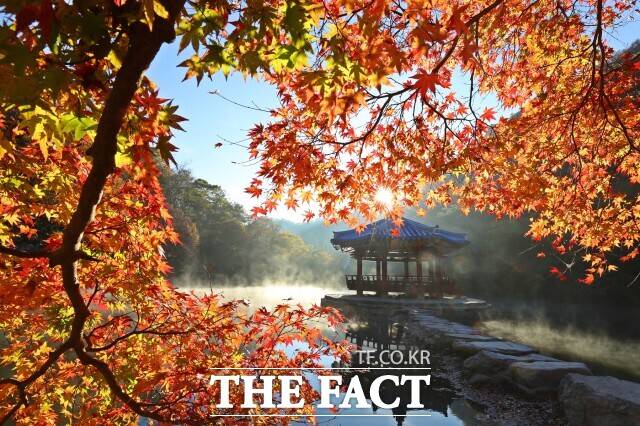 내장산국립공원이 문화체육관광부와 한국관광공사가 선정하는 ‘2025~2026 한국 관광 100선’에 6회 연속 이름을 올리며, 대한민국 대표 관광지로서의 위상을 재확인했다. / 정읍시