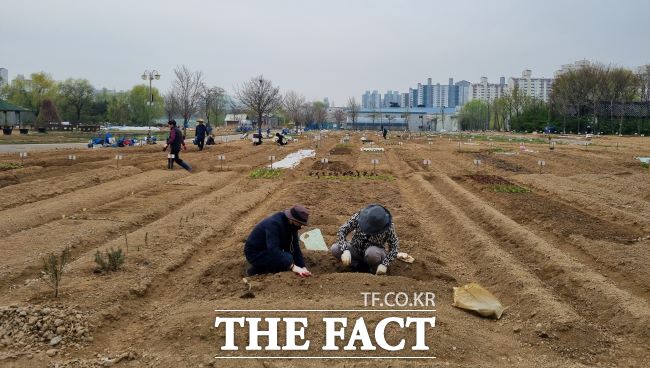 분양 예정인 문화동산텃밭 전경./부천시