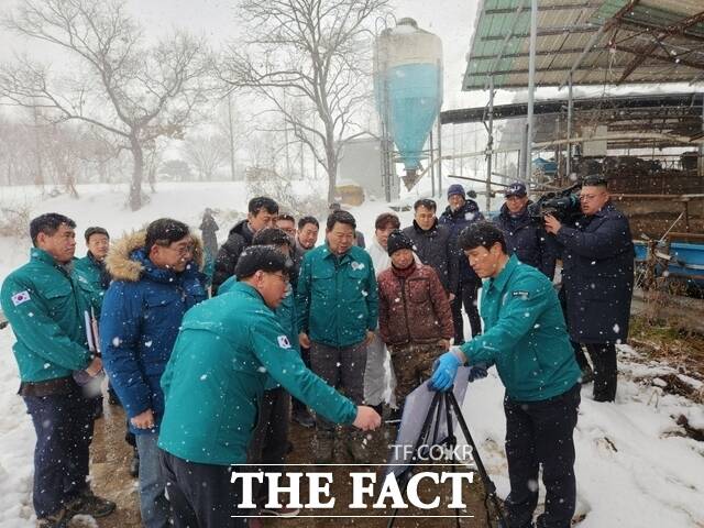오성환 당진시장이 지난 28일 정미면 대설피해 젖소 농가를 방문해 피해 상황을 점검했다. /당진시