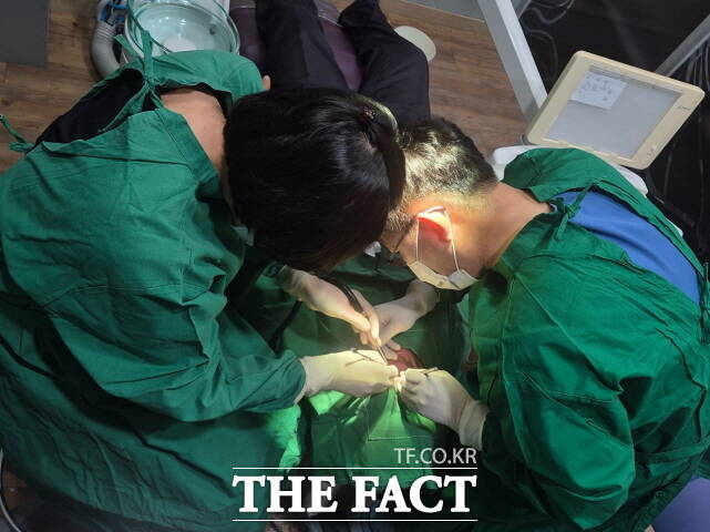 부여군이 지난해 65세 이상 저소득층 어르신을 대상으로 임플란트 및 부분틀니 지대치 시술비 지원 사업을 펼치고 있다. /부여군