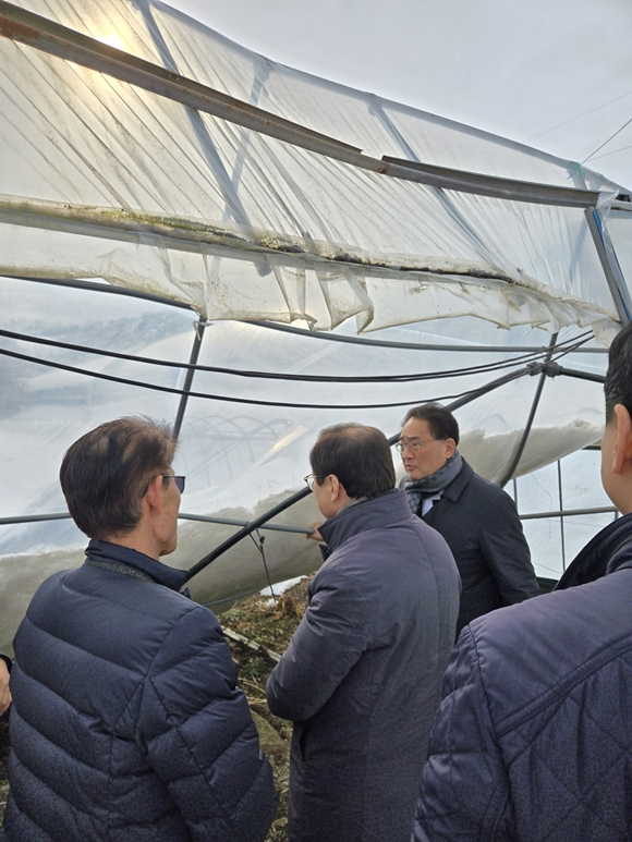 지준섭 농협중앙회 부회장이 31일 충남 청양군을 찾아 대설 피해 상황을 점검하고 있다. /농협중앙회