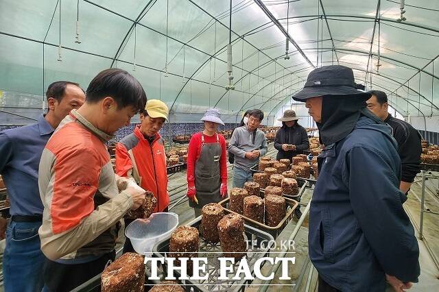 무주군 공약 사업으로 추진되는 체재형 가족 실습 농장 모습 /무주군