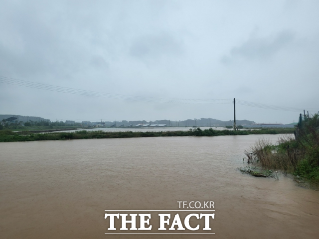 지난해 호우 피해를 입은 서천군의 한 침수 농경지. / 서천군
