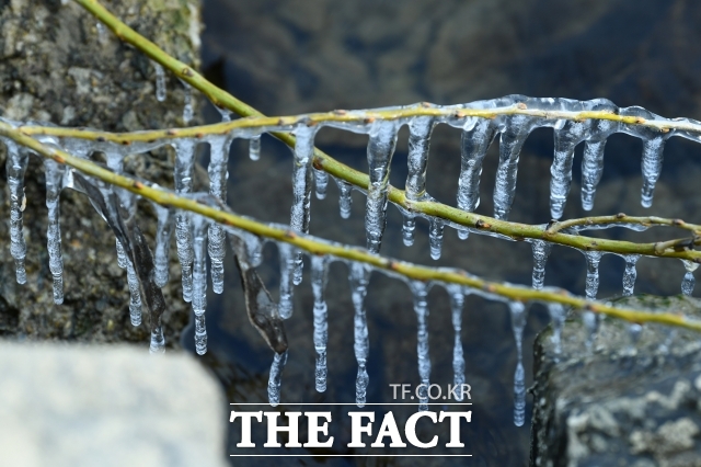 5일 아침은 최저기온이 영하 17도까지 떨어진다. 바람도 강하게 불어 체감온도는 더욱 낮다. /서예원 기자