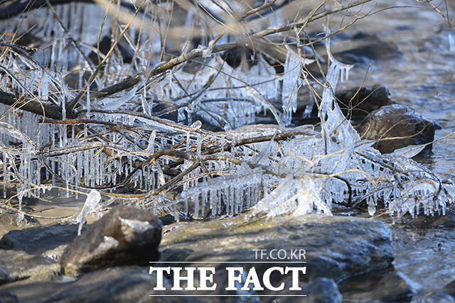 전국 대부분 지역에 한파특보가 내려진 지난 4일 오후 서울 영등포구 여의도한강공원 일대에 고드름이 맺혀있다. /장윤석 기자