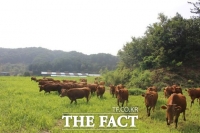  경기도, 올해 2689억 원 투입 축산업경쟁력 강화 사업 등 추진