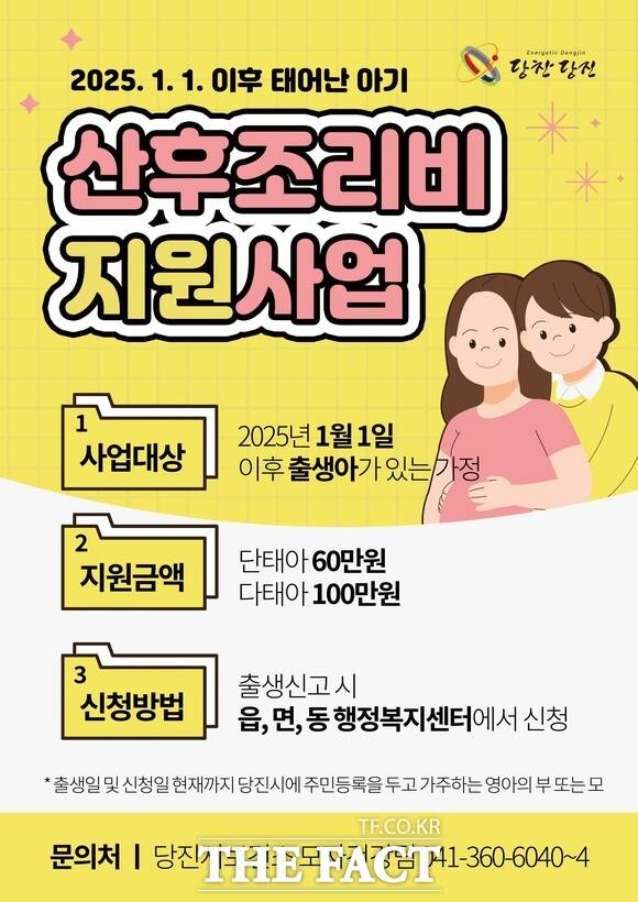 당진시 산후조리비 지원 사업 홍보 포스터. /당진시