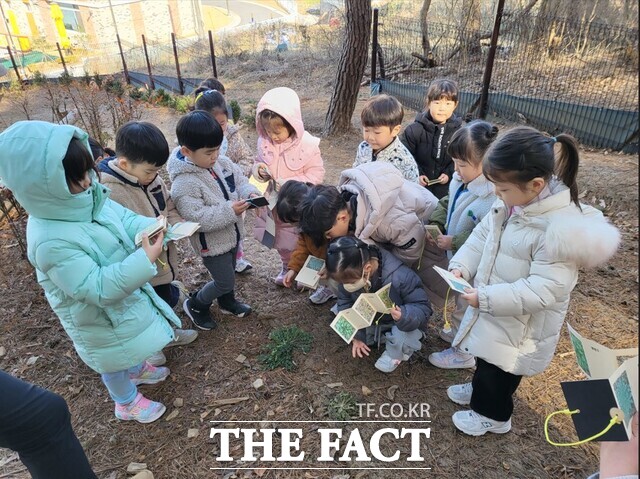 충남도내 유치원의 맞춤형 방과후 과정 중 유아 숲체험 참여 모습. /충남도교육청
