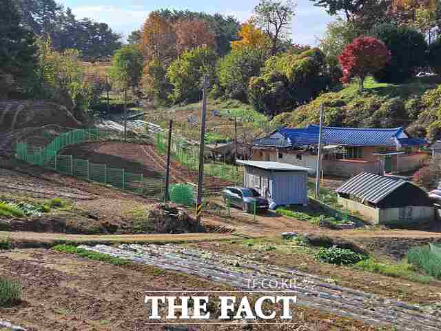 당진시는 야생동물로 인한 농작물 피해 방지를 위해 2025년도 야생동물 피해 예방시설 설치 지원사업을 실시한다. /당진시