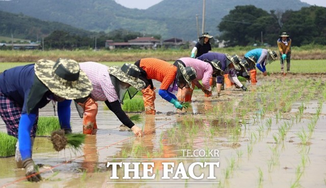 정읍시가 농업인들의 편의를 높이기 위해 2월 한 달간 비대면 공익직불금 신청 접수를 받는다. 신청 대상은 지난해 기본형 공익직불 등록 정보와 올해 농업경영체 등록 정보에 변동이 없는 농업인이다. / 정읍시