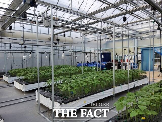 금산군농업기술센터 스마트농업 테스트 베드 /금산군