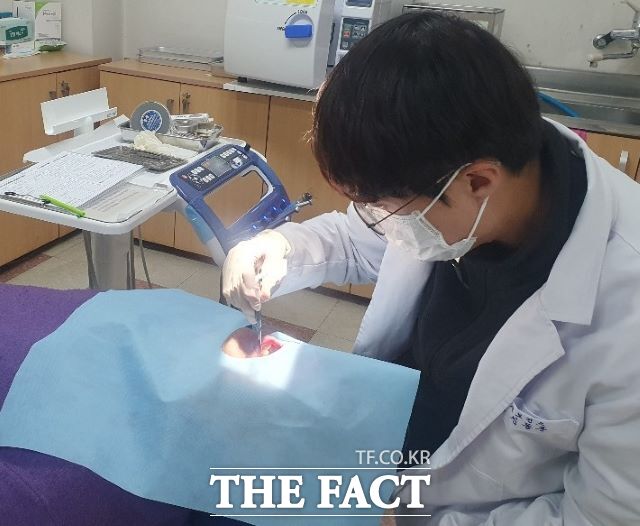 경기 안성시보건소가 65세 이상 어르신을 대상으로 무료 스케일링을 진행하고 있다./안성시