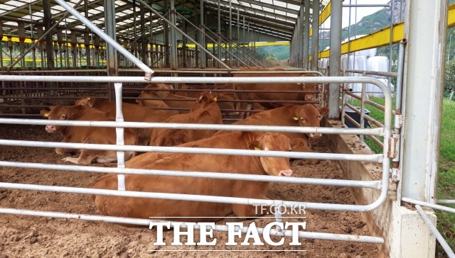 14일 무주군은 관내 100여 농가를 대상으로 한우 사양관리 교육을 실시했다. /무주군