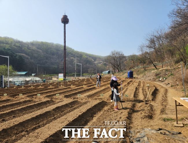 행복가꿈 내손1 주말농장 전경 /의왕시