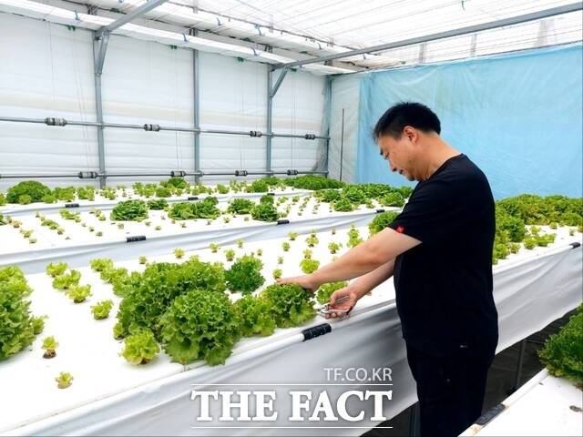 당진시 2024년 신규농업인 현장실습 교육 장면. /당진시