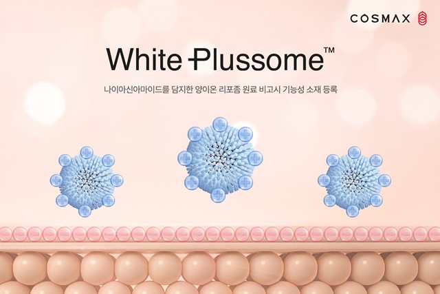 코스맥스가 식품의약품안전처로부터 화이트 플러스좀에 대한 신규 비고시 주성분 허가를 획득했다. /코스맥스