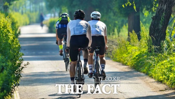 남원시에 주민등록이 된 시민이면 별도 절차 없이 자전거 보험에 자동으로 가입된다. /픽사베이