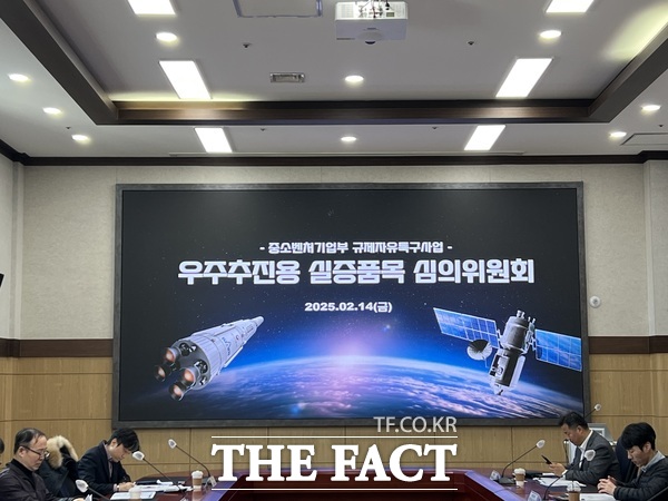 지난 14일 개최된 규제자유특구 실증품목 심의위원회 회의 모습 /대전시