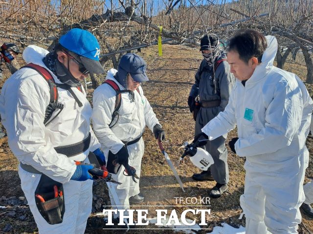 경기 안성시농업기술센터 동계 화상병 예방 현장교육 사진 /안성시
