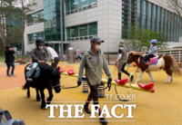  경기도, '어린이 말 체험' 3월부터 본격 운영…24일 선착순 모집