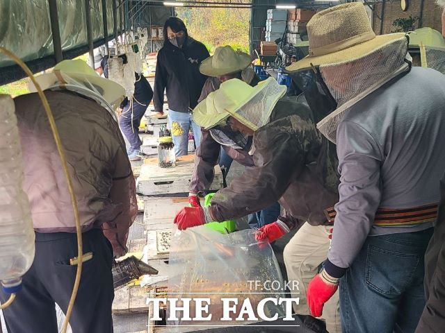 경기도 양봉산업 전문인력 양성 기초교육 현장 사진./경기도농업기술원