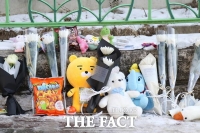  대전 초등학생 살해 교사, 범행 전부터 인터넷에 범행도구 검색