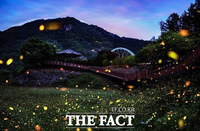 무주군이 세계관광청(UN Tourism)에서 주관하는 ‘제5회 세계 최우수 관광마을(Best Tourism Villages)’ 공모에서 도내 유일 한국 후보로 선정됐다. /무주군