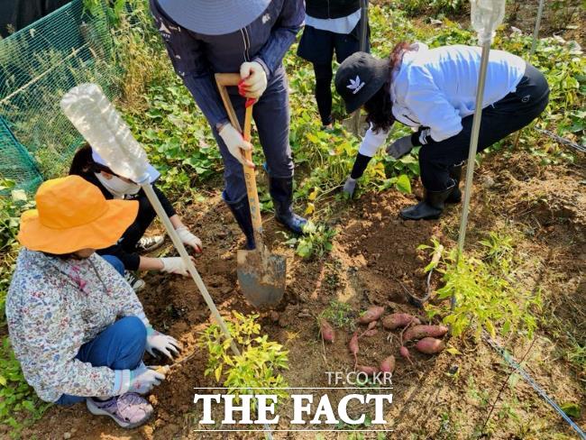 도시농업 교육 모습 /의왕시