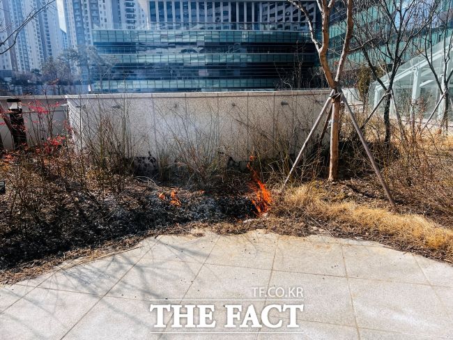 23일 오후 12시46분께 경기융합타운 2층 테라스 화단 쪽에서 불길이 올라오고 있다. /경기도의회 제공