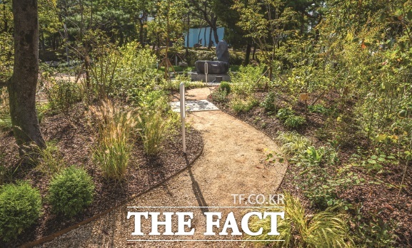 대전 중구 문화동 1-40 서대전광장 내 실습정원 조성 대상지의 모습./대전시