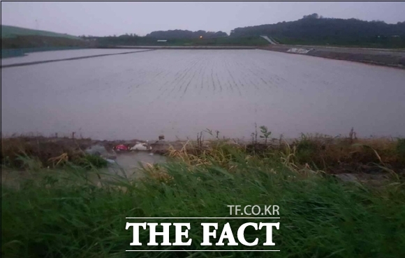 지난해 7월 집중호우로 농경지 침수피해를 입은 경기 파주시 금촌 검하지구 내 한 농경지의 모습./파주시