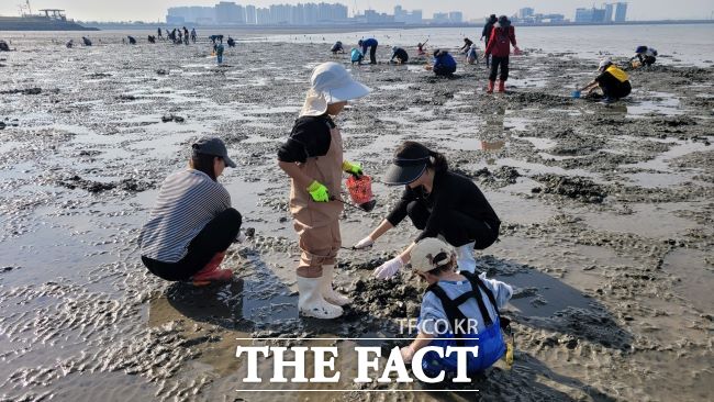 오이도 어촌체험휴양마을 갯벌체험 모습./시흥시