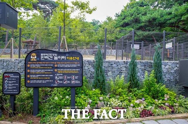 은평구 반려견 운동장./은평구