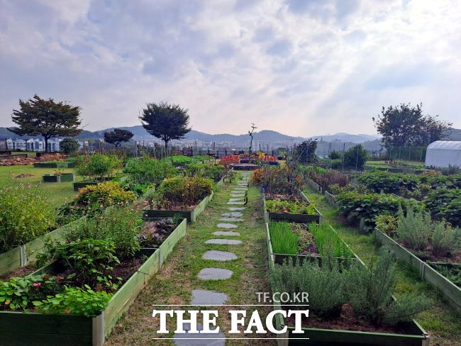 건강한 공동체 문화의 확산과 교류를 위한 도시농업체험장 모습./부천시