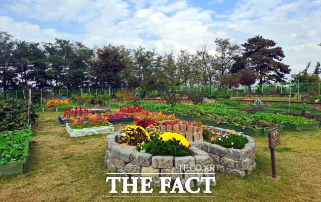 정원형 텃밭으로 조성된 다목적 공동체 텃밭 모습 /부천시