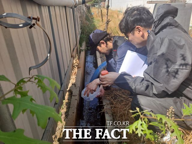 가축분뇨 양돈농가 정화방류시설 특별점검 현장 사진 /안성시