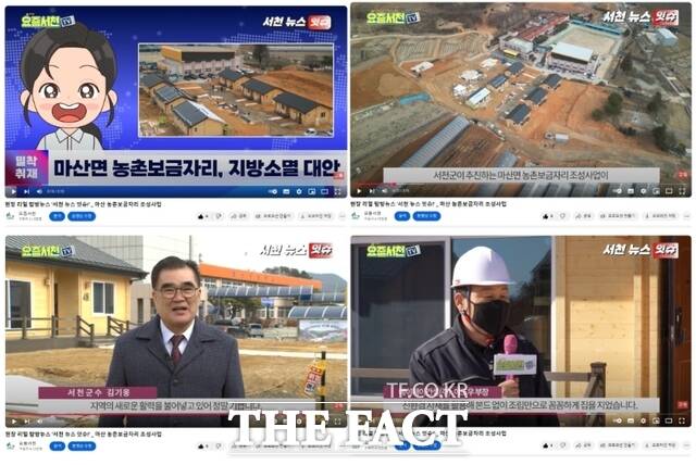 서천군이 AI를 활용해 제작한 군정기획뉴스 서천 뉴스 잇슈 장면. /서천군