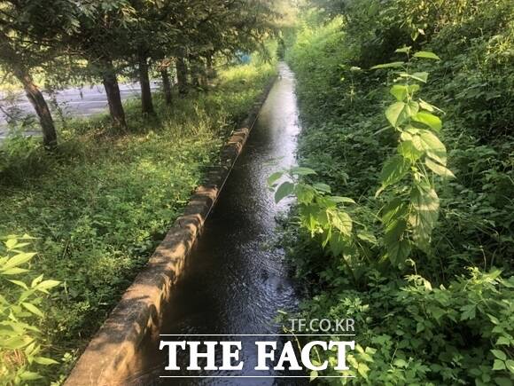 경기 가평군이 시작하는 농업생산기반시설 정비 대상지인 가평읍 읍내리 151번지의 모습. 이곳에는 용수로 140m가 신설된다. /가평군