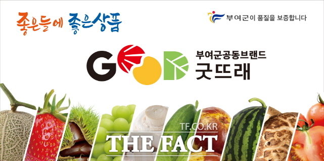 부여 굿뜨래 포스터 /부여군