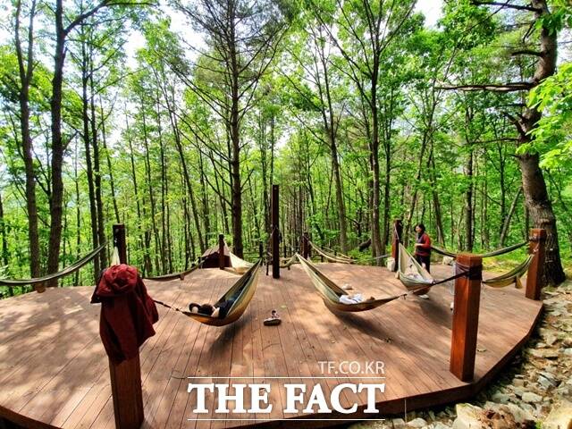 거창 항노화힐링랜드 산림치유 및 숲해설 프로그램이 오는 15일부터 운영된다./거창군