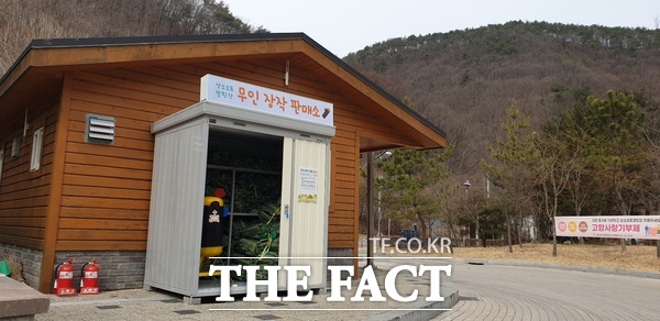 상소오토캠핑장 무인 장작판매소 모습 /대전 동구