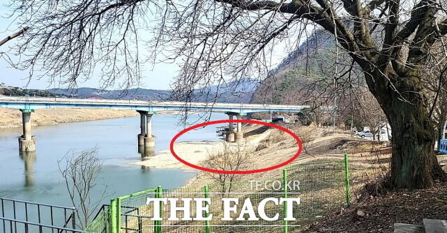 충남 공주에서 대전 유성 방향으로 나가는 신공주대교 아래 금강 본류가 마암천(붉은 원내)과 만나는 지점. /김형중 기자